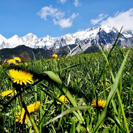 Bed and Breakfast Haus Friedeck Ramsau am Dachstein Exterior foto