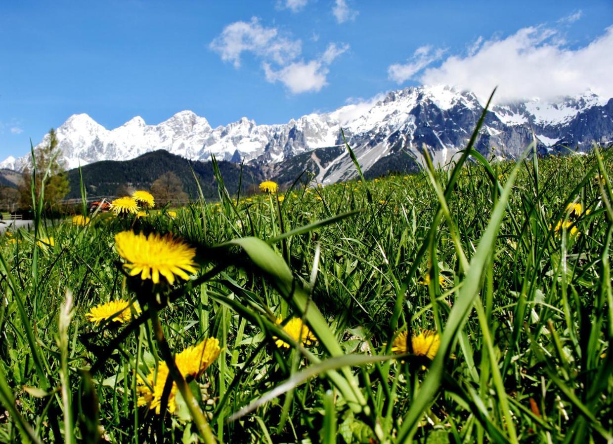 Bed and Breakfast Haus Friedeck Ramsau am Dachstein Exterior foto