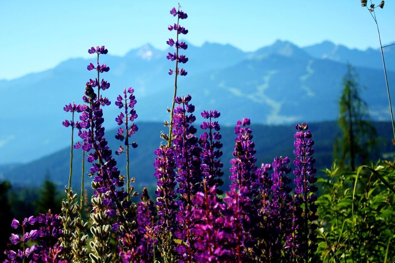 Bed and Breakfast Haus Friedeck Ramsau am Dachstein Exterior foto